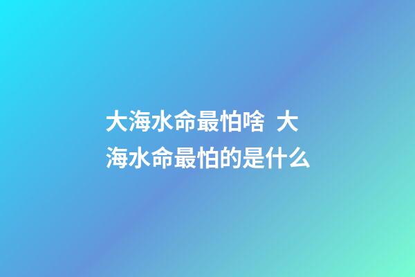 大海水命最怕啥  大海水命最怕的是什么